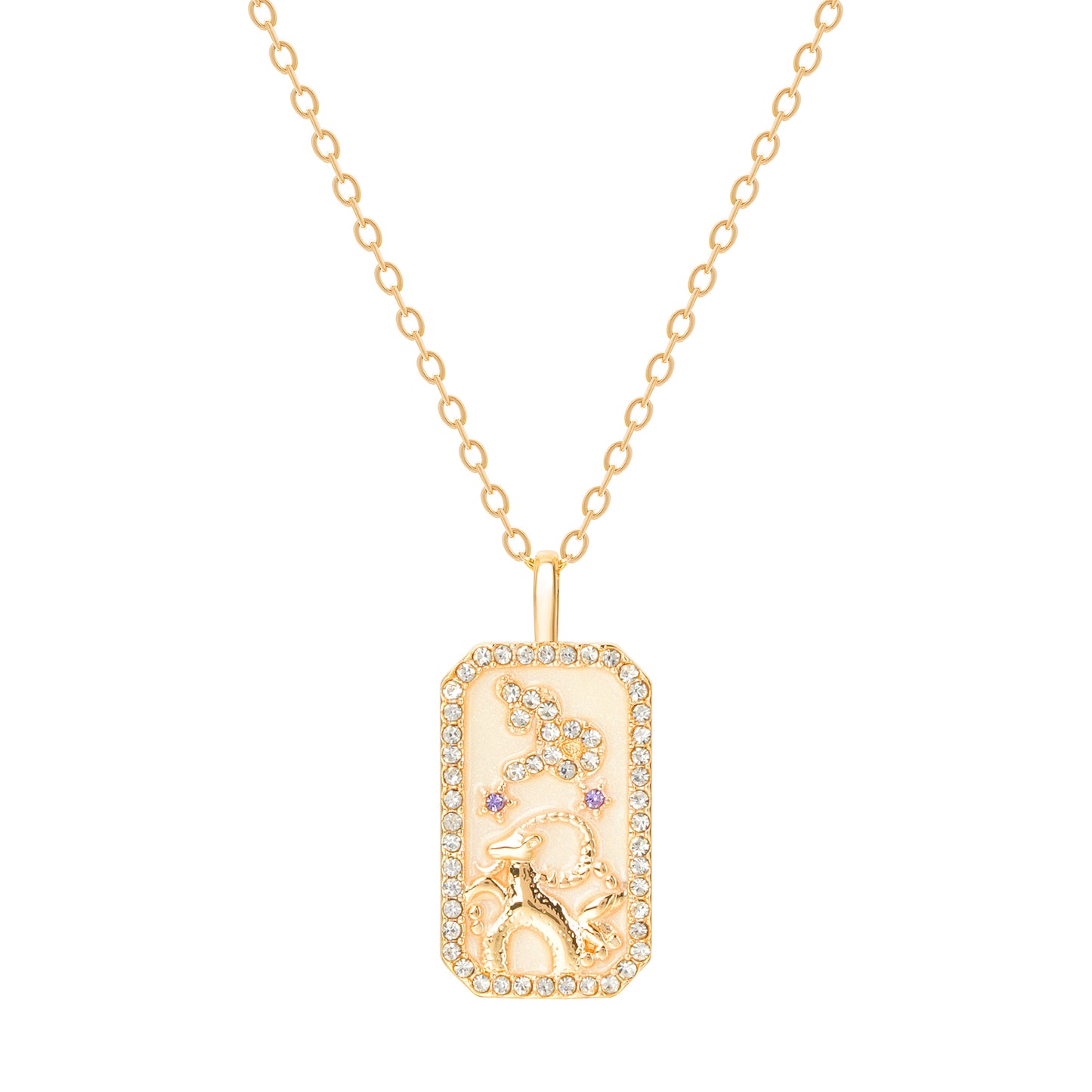 The Diamond Zodiac Necklace - Capricorn