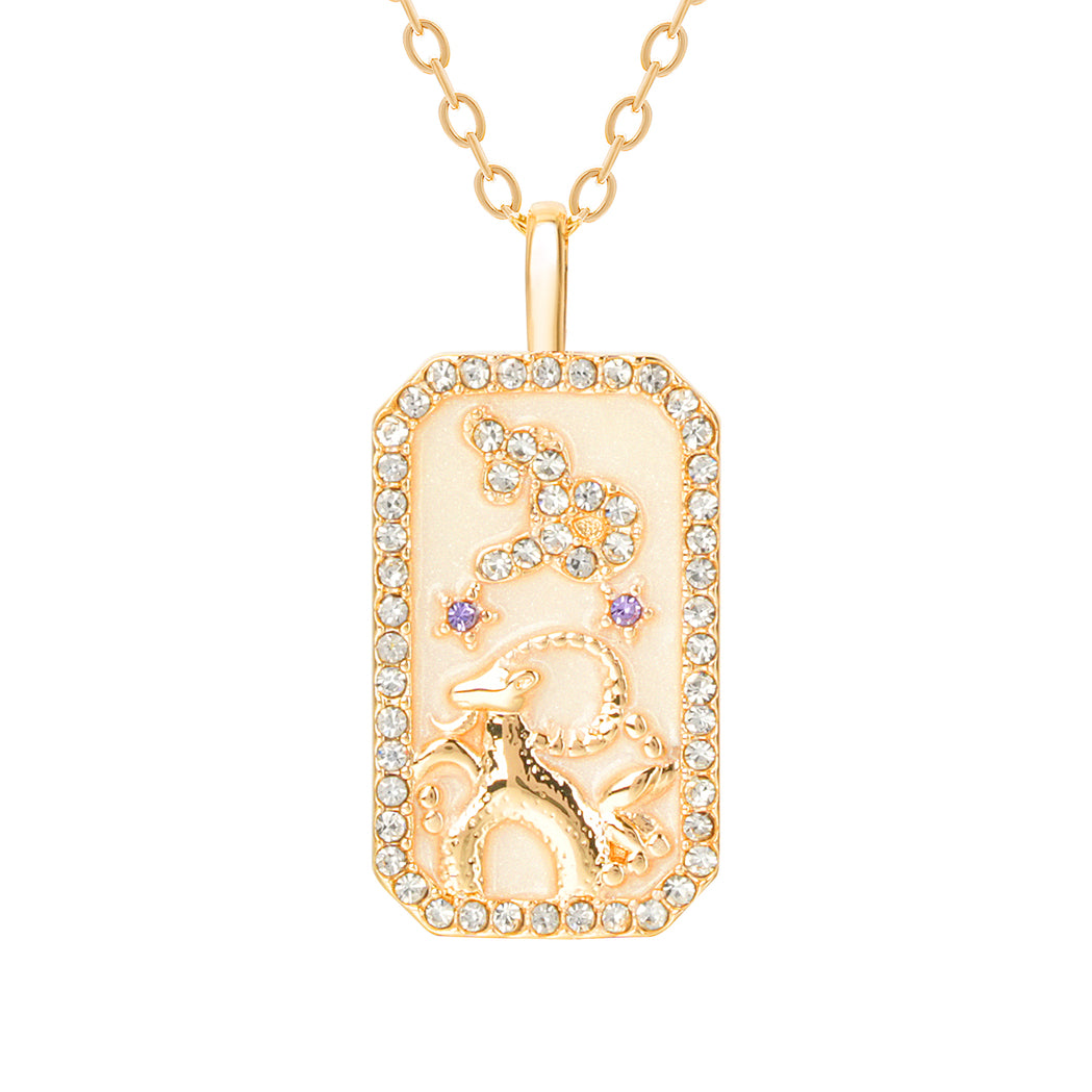 The Diamond Zodiac Necklace - Capricorn