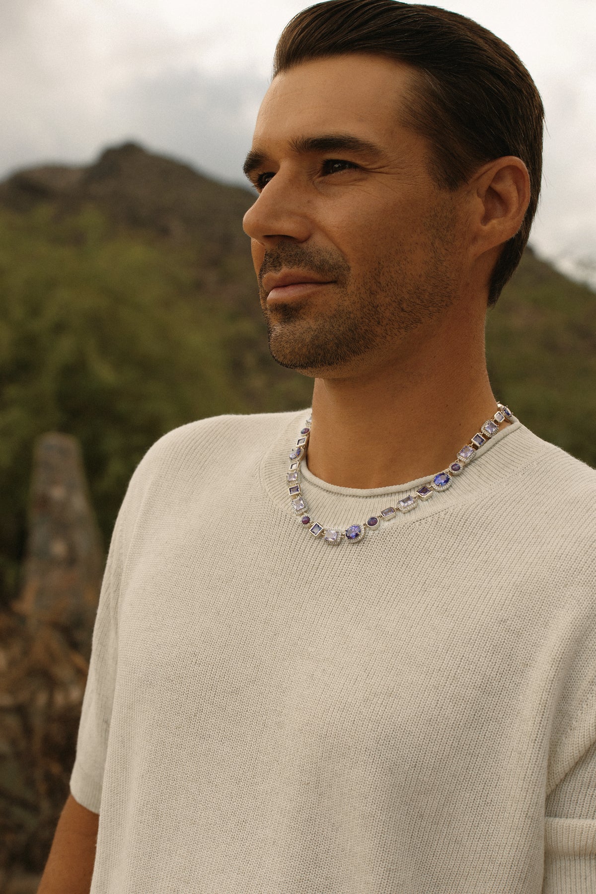 The Violet Gemstone Necklace - Silver
